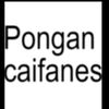 polette527