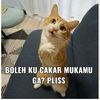 ameng_sutera
