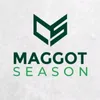 maggot.season