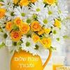 yigalbashari