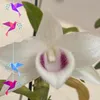 trnthng182