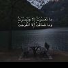 gzalalreem2
