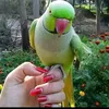 user7721193929946