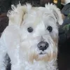 claudkjr0ps
