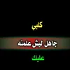151_hmody1