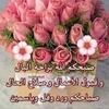 fatma1111586