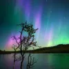 new_aurora_here