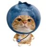 ha_phuowgn_1611