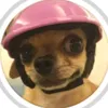 vo_danh1202