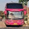 dapa_suka_bus