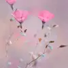 user1988859186387