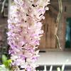 nafasbumi_orchid