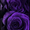 antielmalika.cout