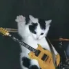 eznk.ezzz