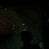 roxx.barox