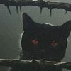 _zez.666