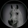 user3270190197434