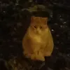 chicallamadahola