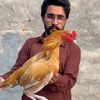 saeed_aseel_mianwali01
