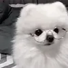 hina_hina450