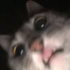 adressinhaslv