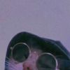 user8211967988