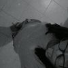 mm.sp._gs