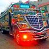 El Bus Addiction