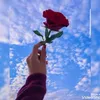 user3660683280716