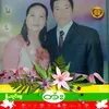 tannguyen8053
