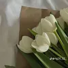 cookiebiscuit87
