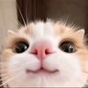 evil_of_the_love1286