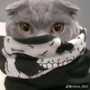 desrawr_