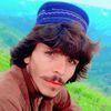fazal4320