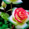 user2810132408618