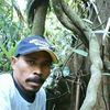 user87823307211317
