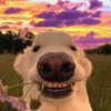 userdh5rubb2cs