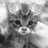 Музыка для души