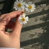 user9395744046135