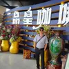 phuongtruong686868