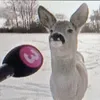 finbuttik1