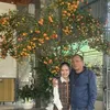 giapnguyenquoc7