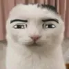 _ymzdueny_