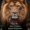user7981685960019