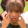 babybear_hc