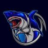 blueshark.10