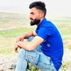 hograli113