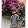 user931079413