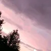 n_xo421