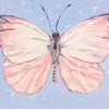 iilll1116